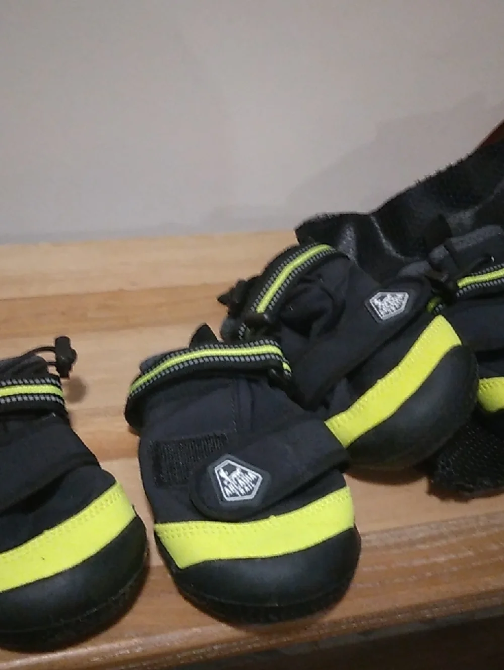 Arcadia Trail All-Terrain Dog Boots